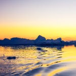 The Antarctic as a Chronobiologist’s Dream Lab: What we can learn from dark polar winters and bright polar summers