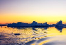 The Antarctic as a Chronobiologist’s Dream Lab: What we can learn from dark polar winters and bright polar summers