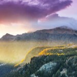 How We Keep Our Circadian Rhythms from Drifting