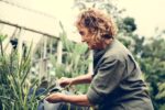 What are the boundaries of environmental therapeutics?